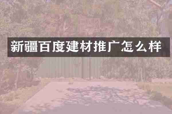 新疆百度建材推广怎么样