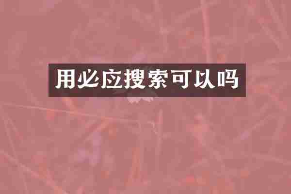 用必应搜索可以吗