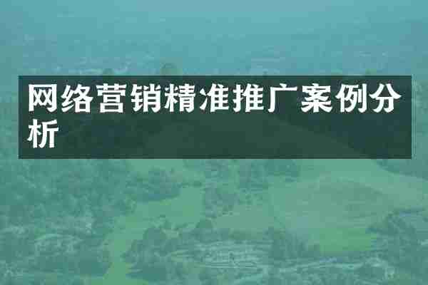 网络营销精准推广案例分析