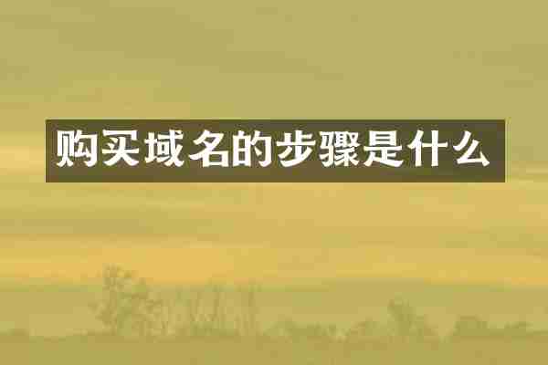 购买域名的步骤是什么