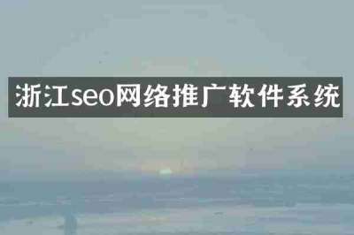 浙江seo网络推广软件系统