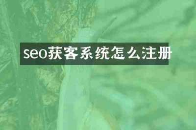 seo获客系统怎么注册