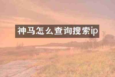 神马怎么查询搜索ip