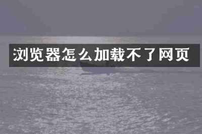 浏览器怎么加载不了网页