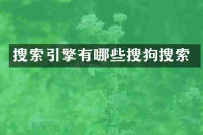搜索引擎有哪些搜狗搜索