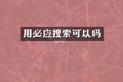 用必应搜索可以吗