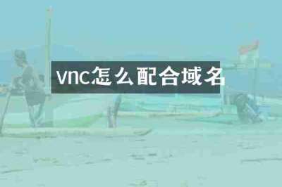 vnc怎么配合域名