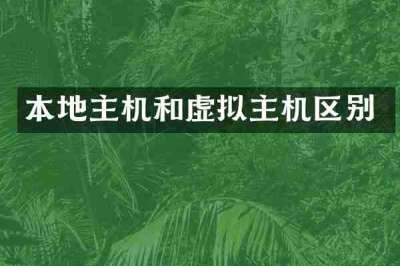 本地主机和虚拟主机区别