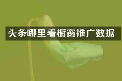 头条哪里看橱窗推广数据
