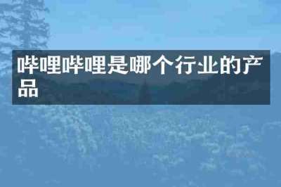 哔哩哔哩是哪个行业的产品