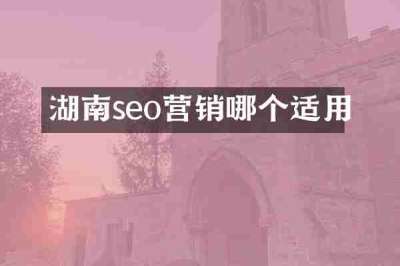 湖南seo营销哪个适用