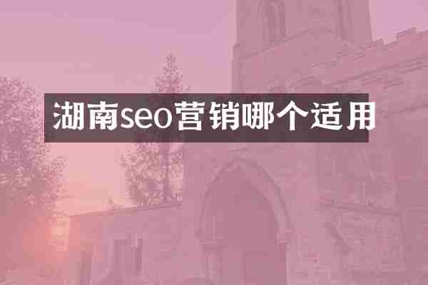 湖南seo营销哪个适用