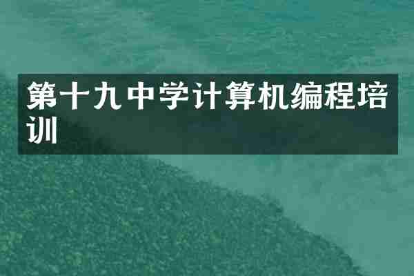 第十九中学计算机编程培训