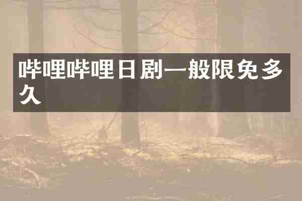 哔哩哔哩日剧一般限免多久