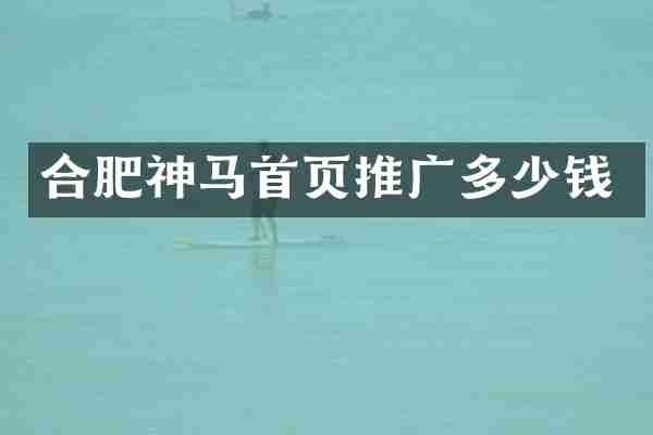 合肥神马首页推广多少钱