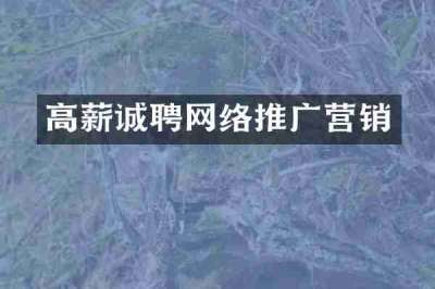 高薪诚聘网络推广营销