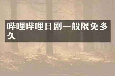 哔哩哔哩日剧一般限免多久