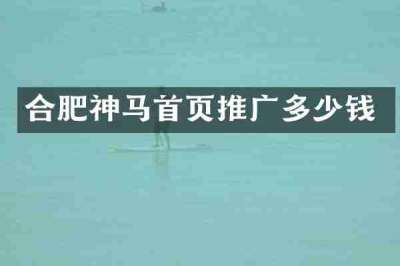 合肥神马首页推广多少钱