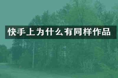 快手上为什么有同样作品