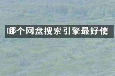 哪个网盘搜索引擎最好使