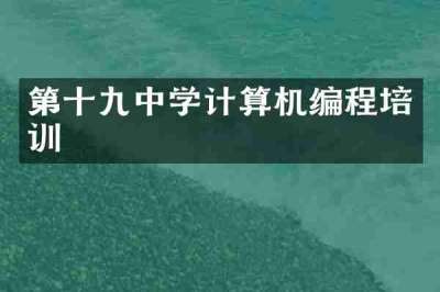 第十九中学计算机编程培训