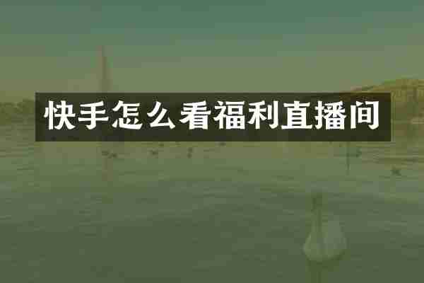 快手怎么看福利直播间