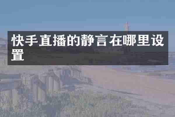 快手直播的静言在哪里设置