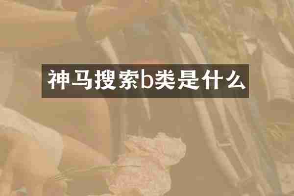 神马搜索b类是什么