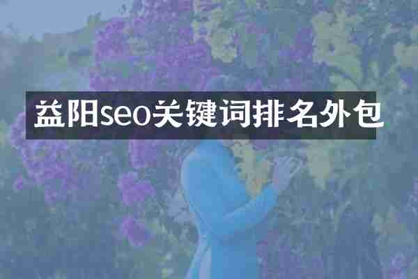 益阳seo关键词排名外包