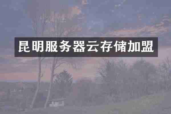 昆明服务器云存储加盟