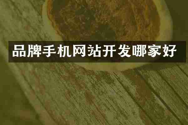品牌手机网站开发哪家好