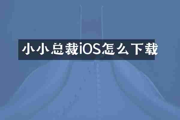 小小总裁iOS怎么下载