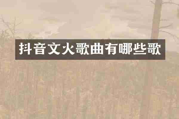 抖音文火歌曲有哪些歌
