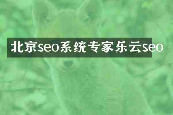 北京seo系统专家乐云seo