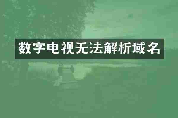 数字电视无法解析域名