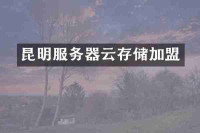 昆明服务器云存储加盟