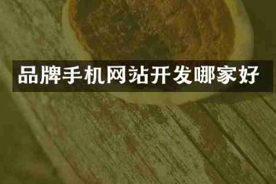 品牌手机网站开发哪家好