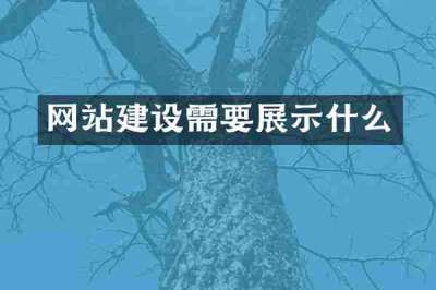 网站建设需要展示什么