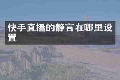 快手直播的静言在哪里设置