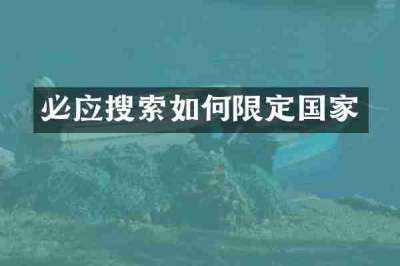 必应搜索如何限定国家