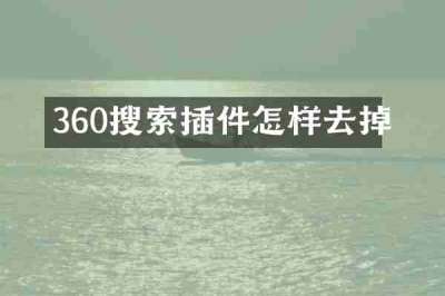 360搜索插件怎样去掉