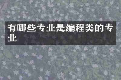 有哪些专业是编程类的专业