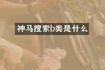 神马搜索b类是什么