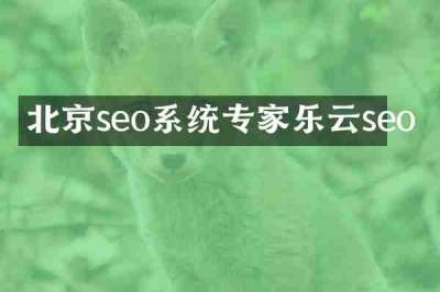 北京seo系统专家乐云seo