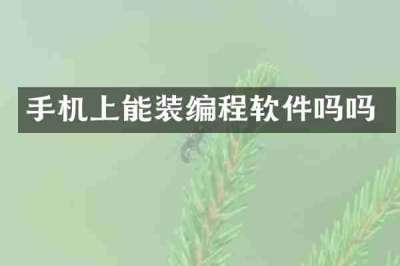 手机上能装编程软件吗吗