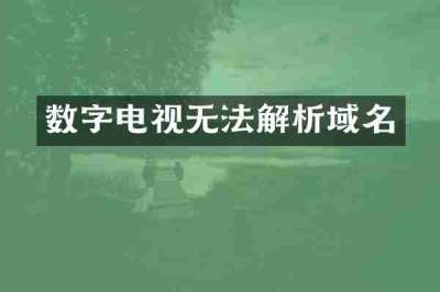 数字电视无法解析域名