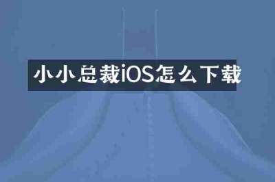 小小总裁iOS怎么下载