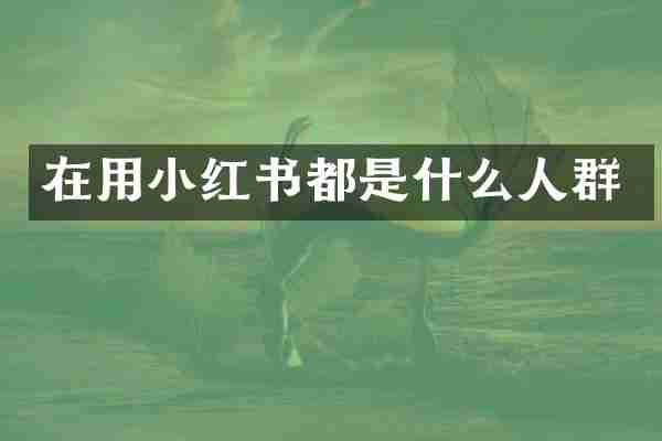 在用小红书都是什么人群