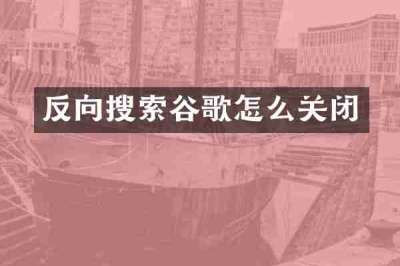 反向搜索谷歌怎么关闭