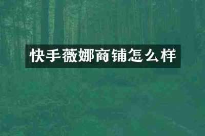 快手薇娜商铺怎么样